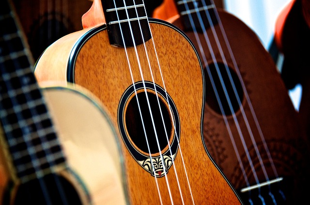 Ile powinno kosztować dobre ukulele?